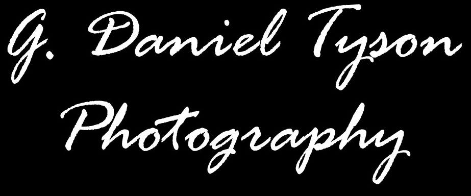 Daniel78 logo